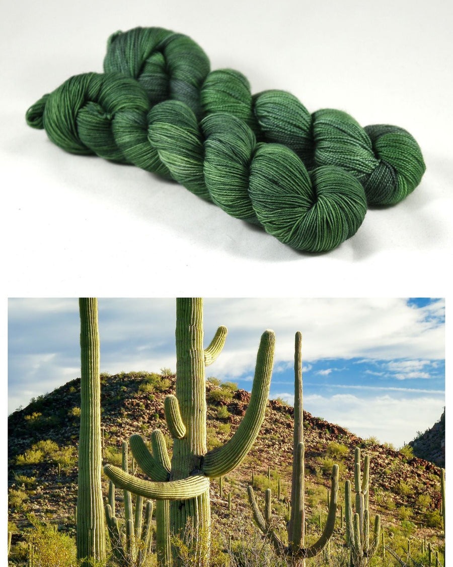 Destination Yarn fingering weight yarn Saguaro