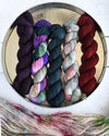 Destination Yarn Knitting Kit Farmland Collection Full Skein Set
