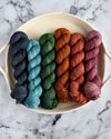 Destination Yarn Mini Skein Set Southwest Collection Tonal Colorways - MINI SKEIN SET