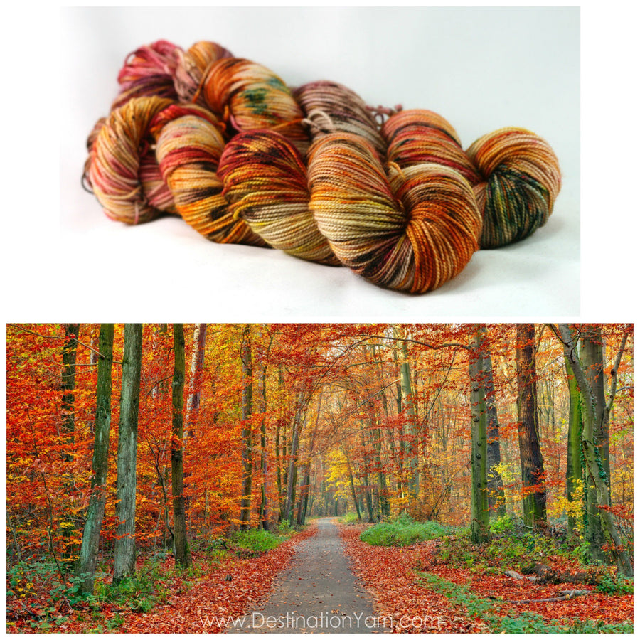 Destination Yarn fingering weight yarn FALL RUN