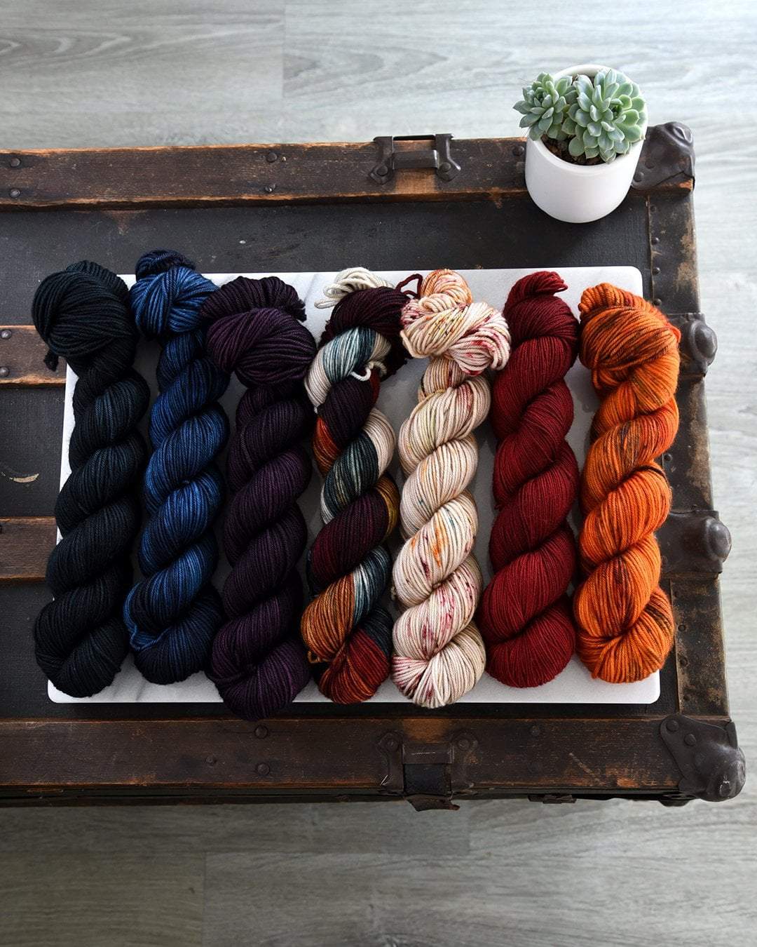 Destination Yarn Preorder Autumn Harvest Collection - FULL SKEIN SET