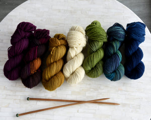 Destination Yarn DK Weight Yarn Cheviot Limited Full Skein Set
