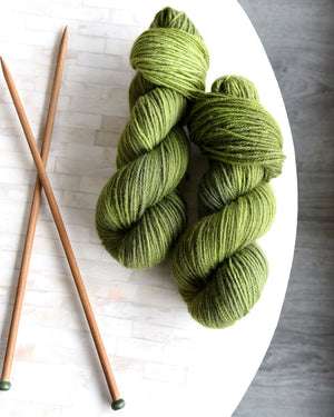 Destination Yarn DK Weight Yarn Cheviot Limited Tonal Colorway Set