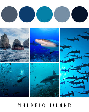 Destination Yarn DK Weight Yarn Souvenir Malpelo Island