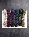 Destination Yarn fingering weight yarn All the World is a Stage - FULL SKEIN SET