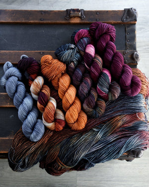 Destination Yarn fingering weight yarn Cakepalooza 2023 FULL SKEIN SET