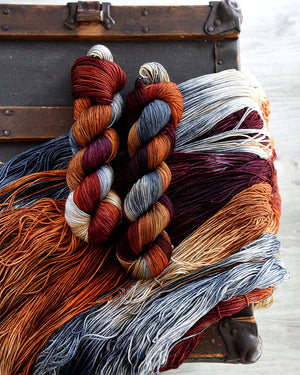 Destination Yarn fingering weight yarn Cakepalooza 2023 FULL SKEIN SET