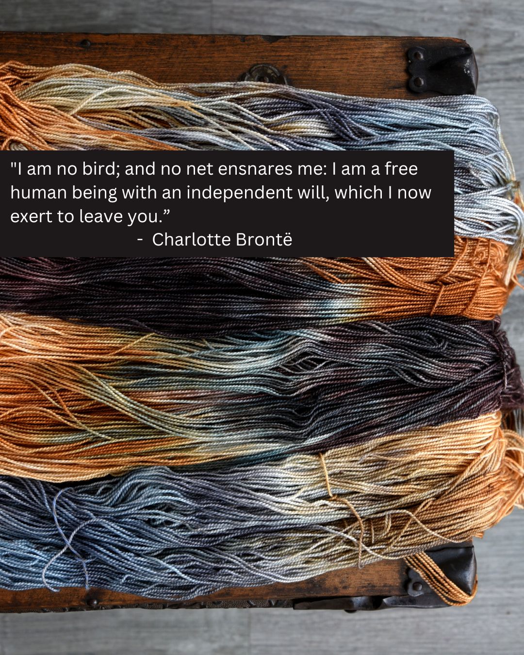 Destination Yarn fingering weight yarn Charlotte Brontë