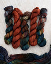 Destination Yarn fingering weight yarn Chisholm Trail Trio - half skein set
