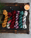 Destination Yarn fingering weight yarn Christmas in Paris