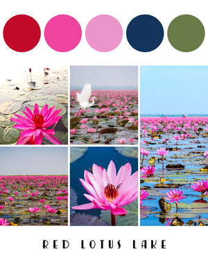 Destination Yarn fingering weight yarn First Class Silk Guatapé (Copy)