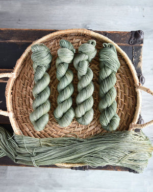 Destination Yarn fingering weight yarn Great Lakes Collection Full Skein Set