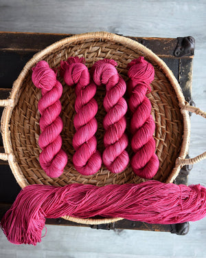 Destination Yarn fingering weight yarn Great Lakes Collection Full Skein Set