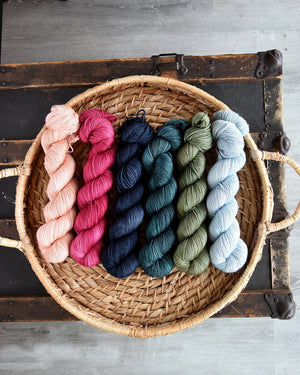 Destination Yarn fingering weight yarn Great Lakes Collection Full Skein Set