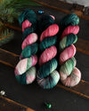 Destination Yarn fingering weight yarn Holiday 2024 ENTIRE Collection - FULL SKEIN SET