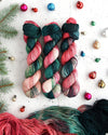 Destination Yarn fingering weight yarn Holiday 2024 New Colorways Set