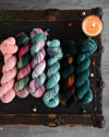 Destination Yarn fingering weight yarn Holiday 2024 - Whimsical Collection - FULL SKEIN Set