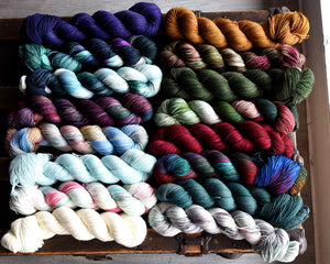 Destination Yarn fingering weight yarn Holiday 2025 FULL Collection - MINI or HALF SKEIN SET
