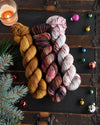 Destination Yarn fingering weight yarn Holiday Eras 2023 Full Skein Set