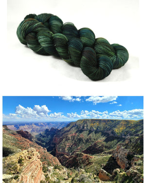 Destination Yarn fingering weight yarn Kaibab National Forest