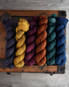 Destination Yarn fingering weight yarn Literary Collection Tonal Colorways Set