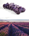 Destination Yarn fingering weight yarn Postcard Plateau de Valensole