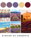 Destination Yarn fingering weight yarn Postcard Plateau de Valensole