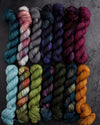 Destination Yarn fingering weight yarn Shakespeare Collection FULL SKEIN SET