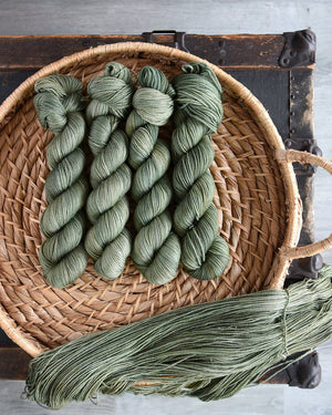 Destination Yarn fingering weight yarn Shoal