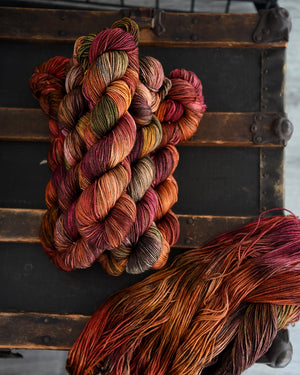 Destination Yarn fingering weight yarn Stupid Little Walk for my Stupid Little Mental Health