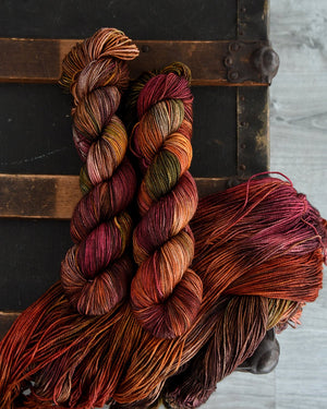 Destination Yarn fingering weight yarn Stupid Little Walk for my Stupid Little Mental Health