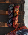Destination Yarn fingering weight yarn Stupid Little Walk for my Stupid Little Mental Health