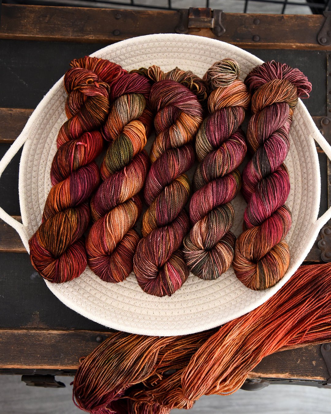 Destination Yarn fingering weight yarn Stupid Little Walk for my Stupid Little Mental Health