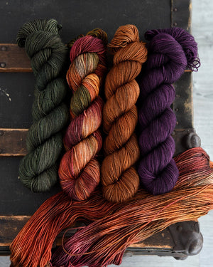 Destination Yarn fingering weight yarn Stupid Little Walk for my Stupid Little Mental Health