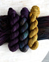 Destination Yarn fingering weight yarn Toxic Trio - half skein set