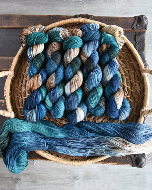 Destination Yarn Mini Skein Set Great Lakes Variegated Colorways - MINI SKEIN SET