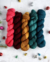 Destination Yarn Mini Skein Set Holiday 2023 Collection - Tonal Colorways - MINI SKEIN SET