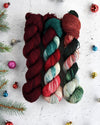 Destination Yarn Mini Skein Set Holiday Eras Collection - Classic Colors - MINI SKEIN SET