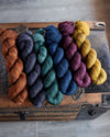 Destination Yarn Mini Skein Set Literary Collection Tonal Colorways - MINI SKEIN SET