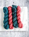 Destination Yarn OOAK 115 -  Postcard Two Skein Kit