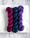 Destination Yarn OOAK 126 -  Postcard Three Skein Kit