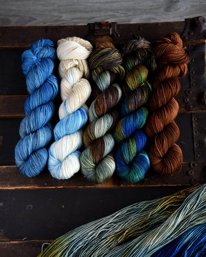Destination Yarn Preorder Blue Crab - Dyed to Order