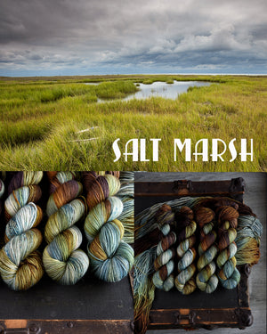 Destination Yarn Preorder Mid-Atlantic Collection - Full Skein Set