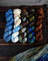 Destination Yarn Preorder Mid-Atlantic Collection - Full Skein Set