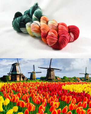 Destination Yarn Sport Weight Holland Tulips - Sport Weight
