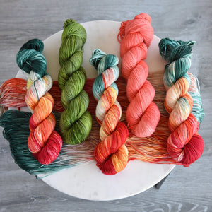 Destination Yarn Sport Weight Holland Tulips - Sport Weight