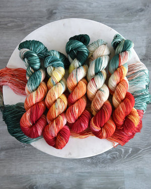 Destination Yarn Sport Weight Holland Tulips - Sport Weight