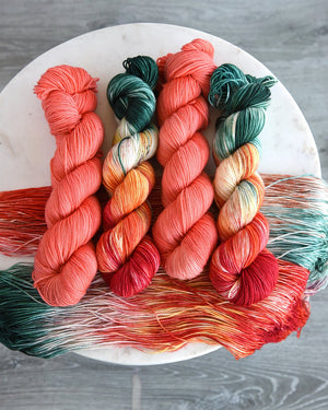 Destination Yarn Sport Weight Holland Tulips - Sport Weight