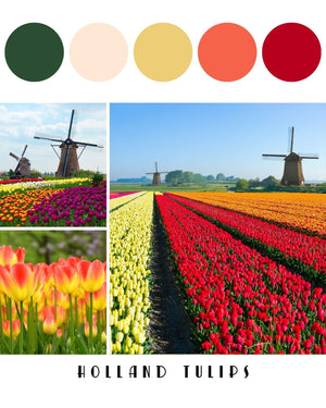 Destination Yarn Sport Weight Holland Tulips - Sport Weight