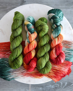 Destination Yarn Sport Weight Holland Tulips - Sport Weight